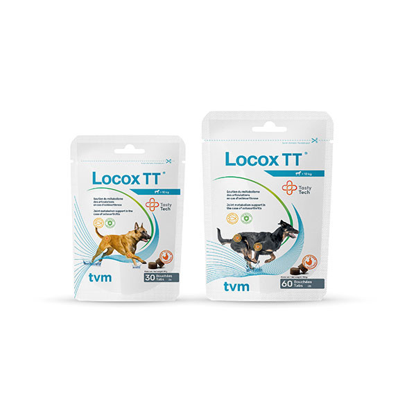 Locox TT pour Chien >10 kg