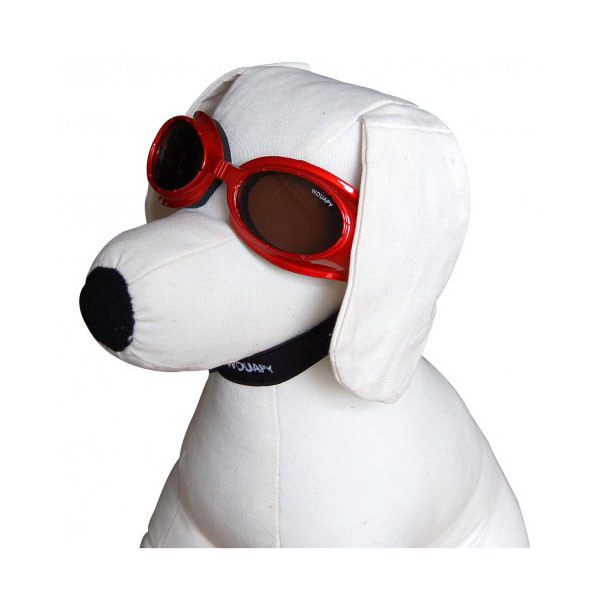 Wouapy Lunettes de Soleil et de Protection pour Chien