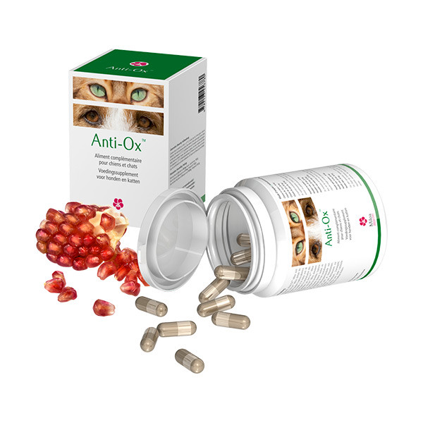 Miloa Anti-Ox - 30 gélules