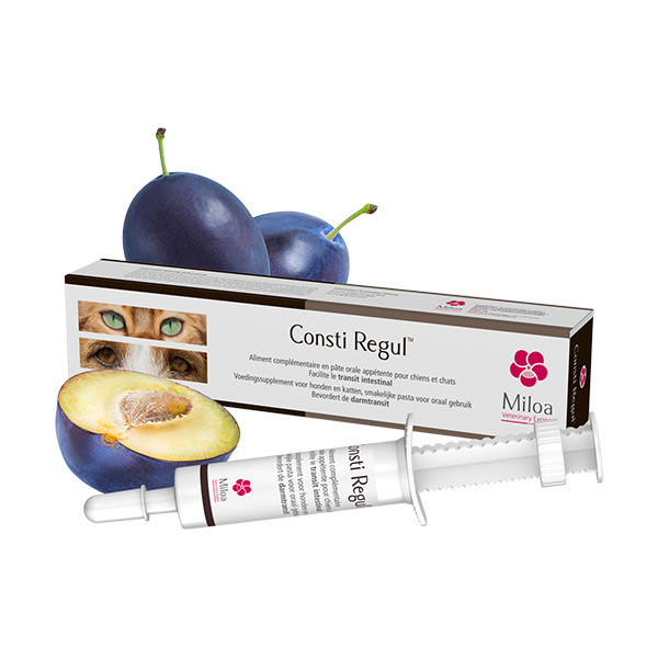 Miloa Consti Régul Seringue - 30 ml