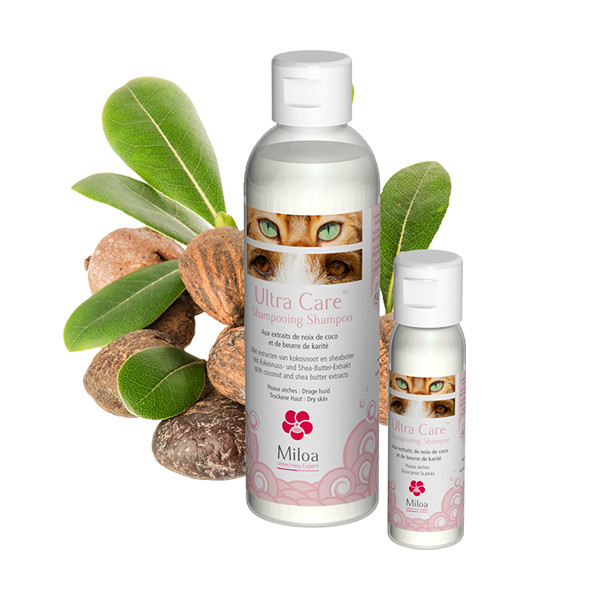 Ultra Care Shampooing - 8 x 30 ml 