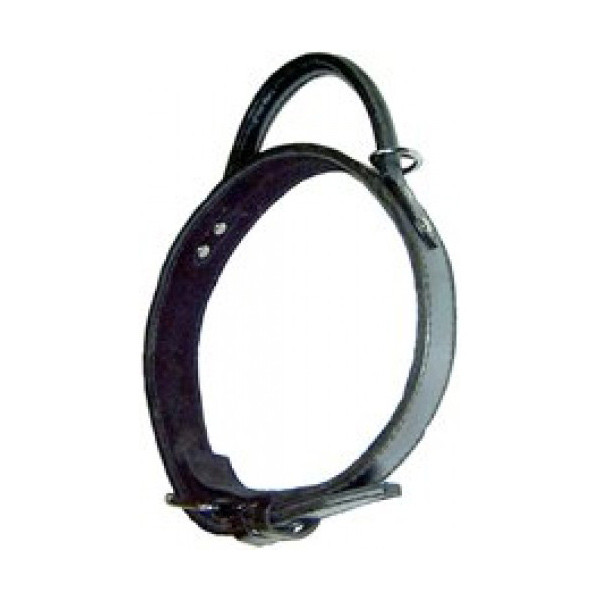 Bobby Collier Cuir Molosse Noir pour Chien