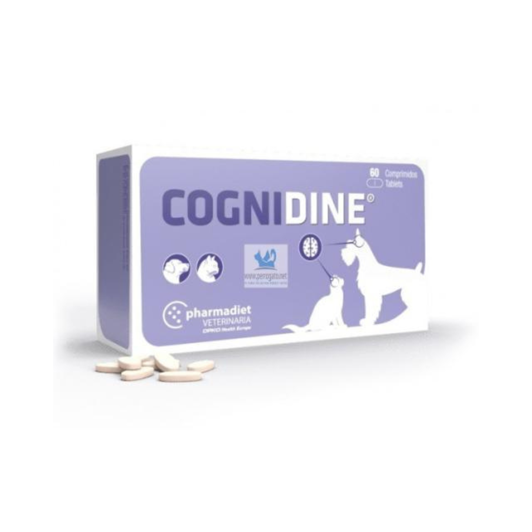 Pharmadiet Cognidine - 60 comprimés
