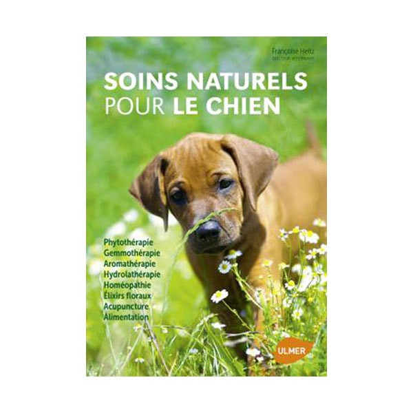 Soins Naturels pour le Chien