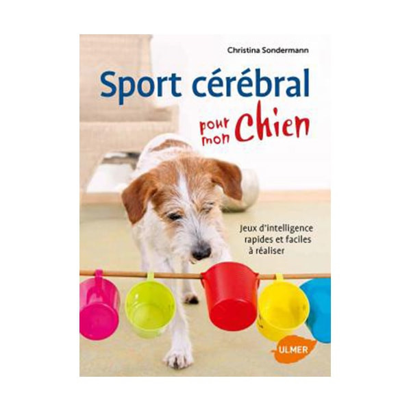 Sport Cérébral pour mon Chien