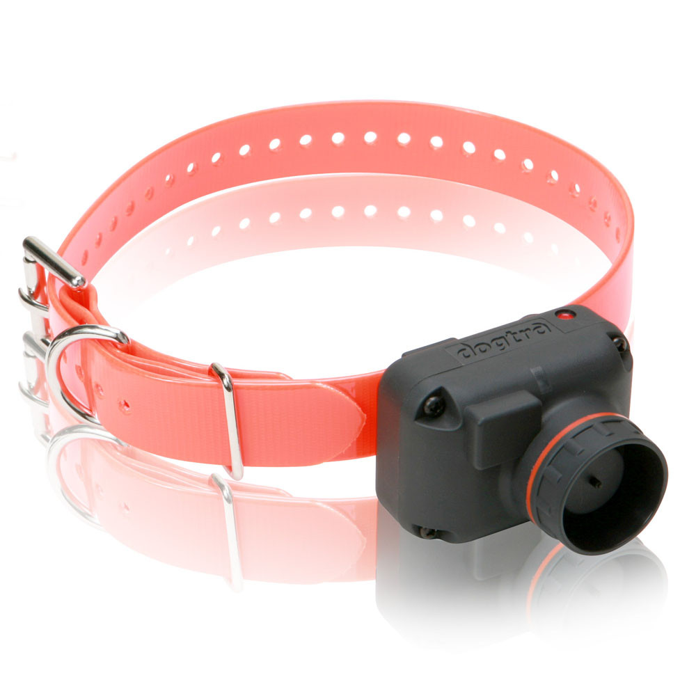 Dogtra StB Hawk - L - Collier de Repérage Sonore Beeper Son Grave