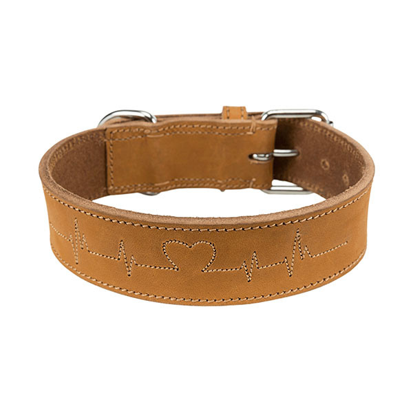 Trixie Rustic Collier en Cuir Gras - M