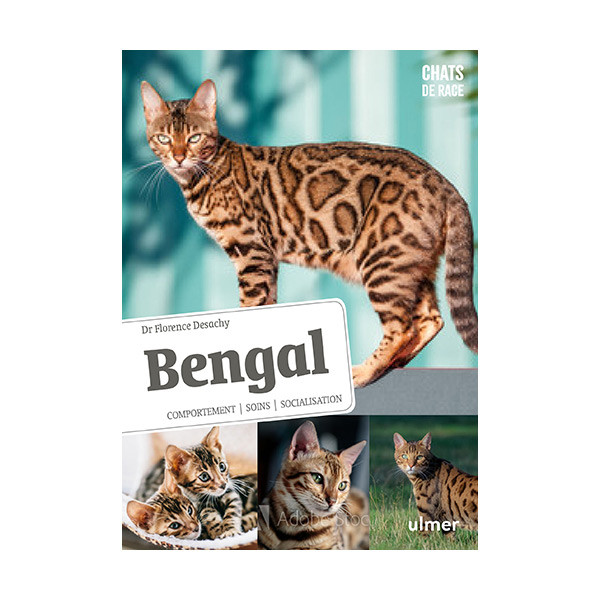 Bengal