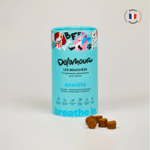 Les Bouchées Delamour Anxiété