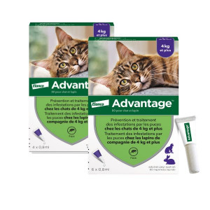 Advantage Anti-puces pour Chat (>4 kg)
