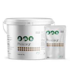 Phoscargil Poudre orale