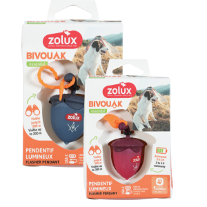 Zolux Flasher Noisette USB 