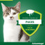 Advantage Anti-puces pour Chat (<4 kg)