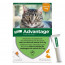 Advantage Anti-puces pour Chat (<4 kg)