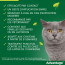 Advantage Anti-puces pour Chat (<4 kg)