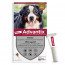 Advantix Très Grand Chien (40-60 kg)