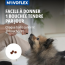 Virbac Movoflex pour Chien