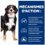 Hill's Prescription Diet Canine Metabolic + Mobility