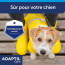 Adaptil Calm Collier pour Chien