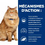 Hill's Prescription Diet Feline k/d + Mobility - 12 x 85 gr