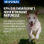 Virbac Movoflex pour Chien