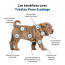 Treatsy Huile Nutritionnelle Peau & Pelage pour Chien & Chat - 250 ml 