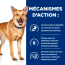 Hill's Prescription Diet Canine i/d Digestive Care