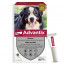 Advantix Très Grand Chien (40-60 kg)