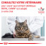 Royal Canin Vdiet Cat Gastrointestinal Fibre Response
