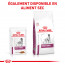 Royal Canin Vdiet Dog Early Renal - 12 x 100 