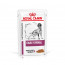 Royal Canin Vdiet Dog Early Renal - 12 x 100 
