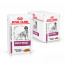 Royal Canin Vdiet Dog Early Renal - 12 x 100 