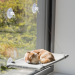 Trixie Lit Fenêtre pour Chat 