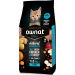 Ownat Ultra Cat Kitten