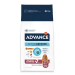 Advance Dog Senior Médium