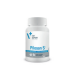 VetExpert Pilosan S - 60 capsules