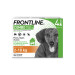 Frontline Combo S Chien (2-10 kg)