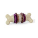 PetSafe Jouet Bristle Bone