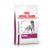 Royal Canin Vdiet Dog Renal - 2 Kg