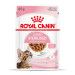 Royal Canin Kitten Sterilised Emincés en Sauce - 12 x 85 g