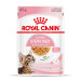 Royal Canin Kitten Sterilised Emincés en Gelée - 12 x 85 g