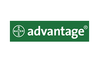 Advantage