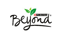 Beyond