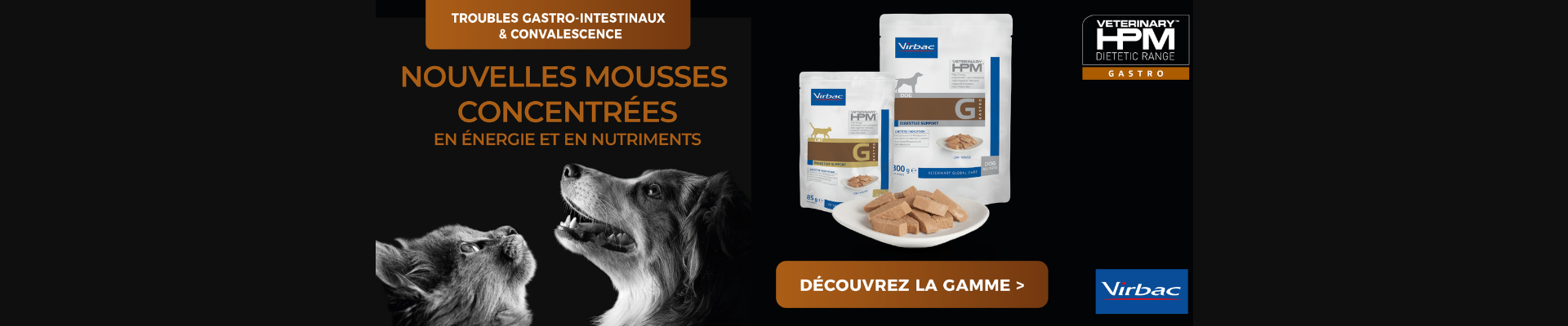 Bannière nouvelle mousse gastro Virbac
