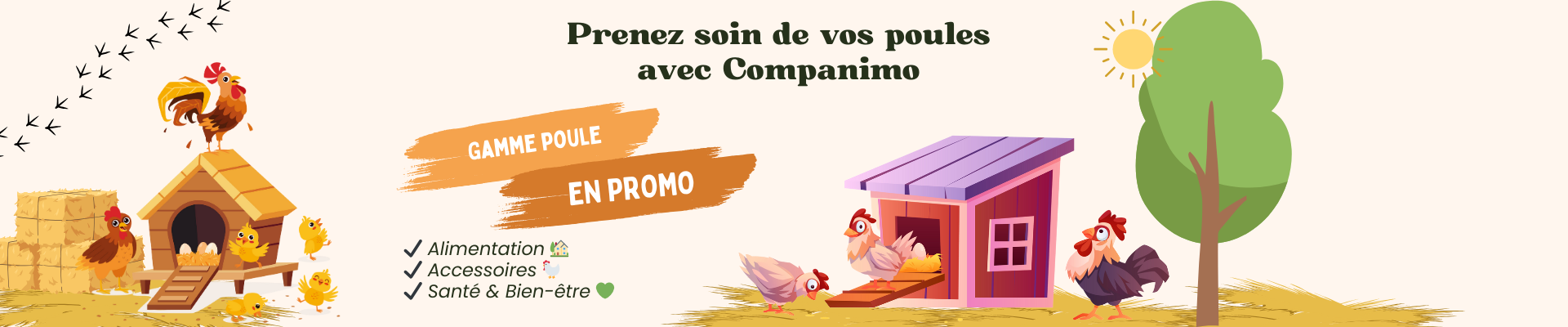 Bannière promotion poules