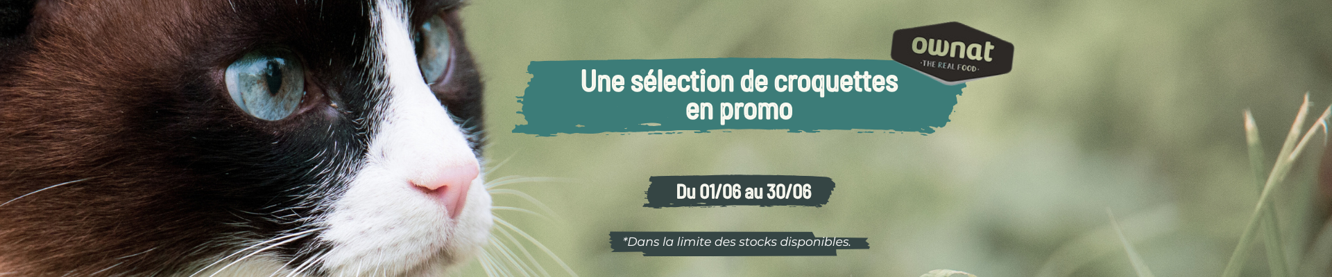 Bannière promotions Ownat croquettes chat