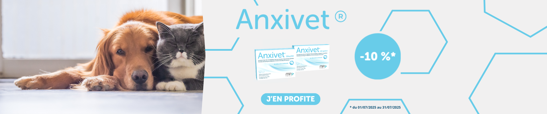 banniere promotion anxivet