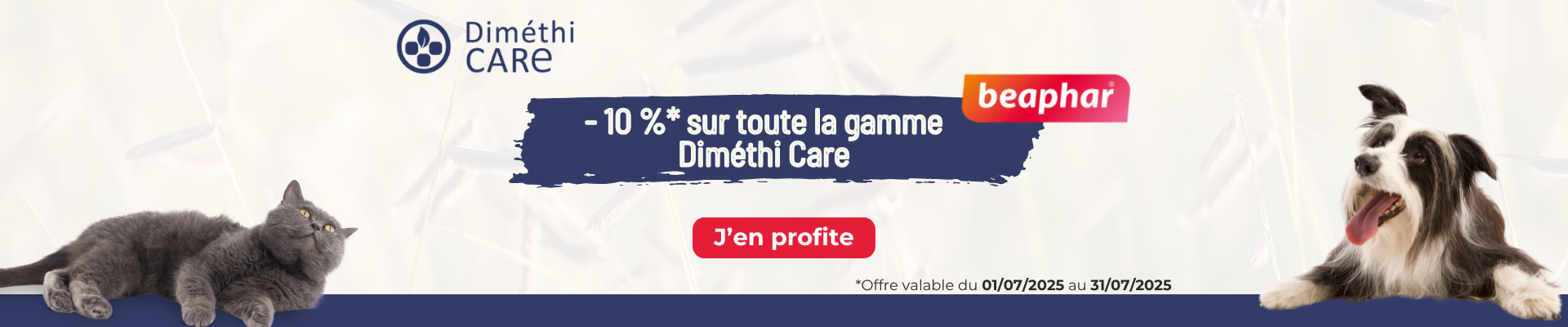 banniere promotion dimethicare