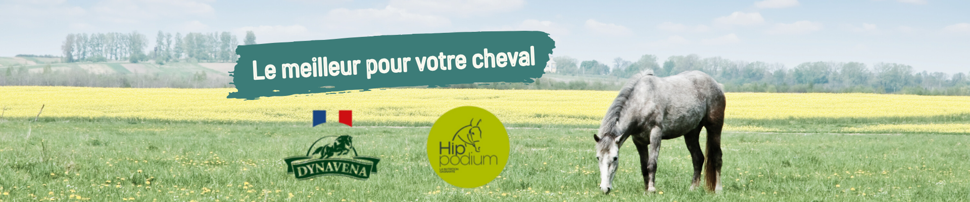 Bannière présentation alimentation cheval