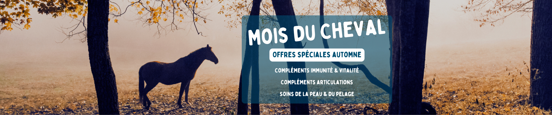 Bannière promotions d'automne sur les produits chevaux 